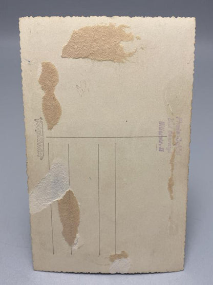 WWII German Army (Heer) Soldier Studio Portrait